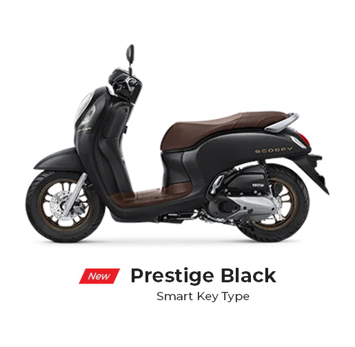 Honda Scoopy